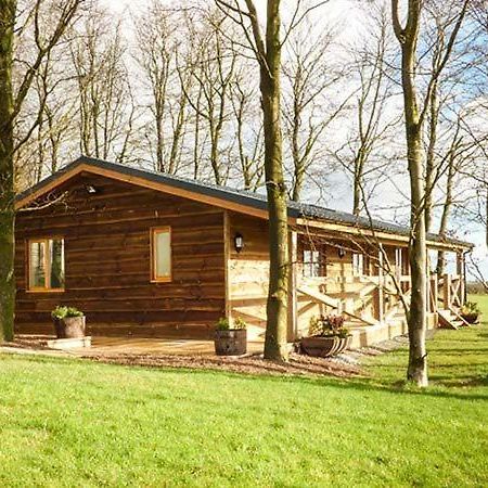 Valley View Lodge Trelystan エクステリア 写真
